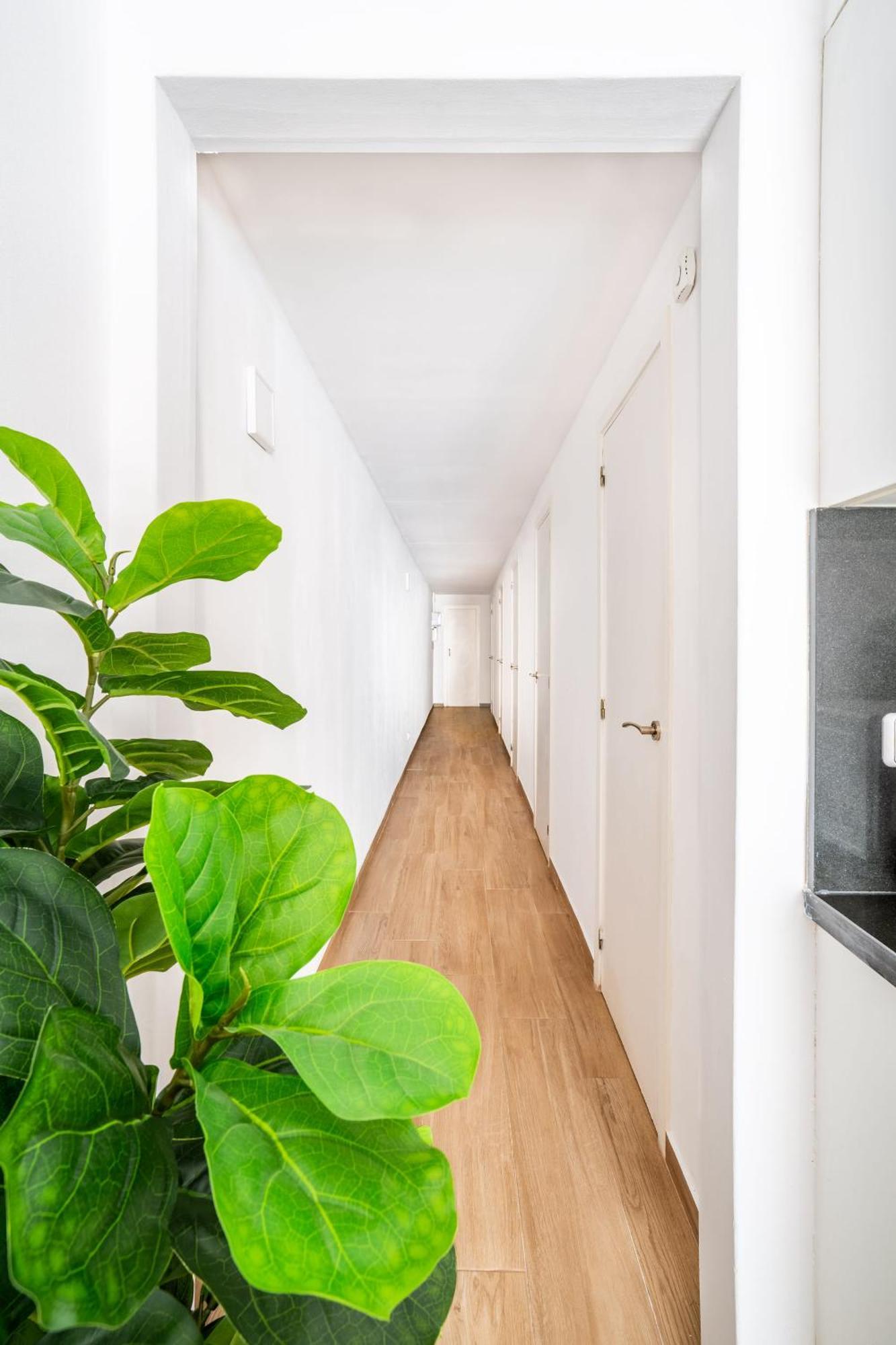 Appartement Eixample 4bd 2bth With Private Terrace *
